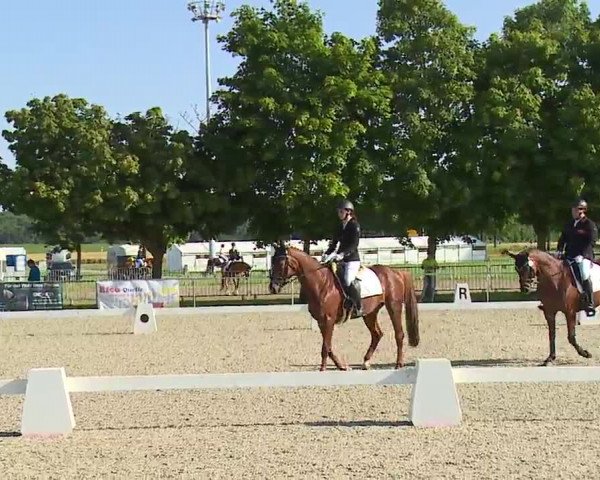 Reitturnier Rot am See- Musdorf 2021