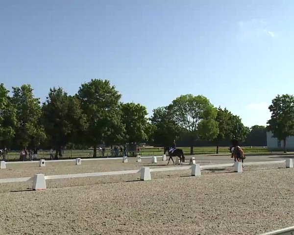 Reitturnier Rot am See- Musdorf 2021