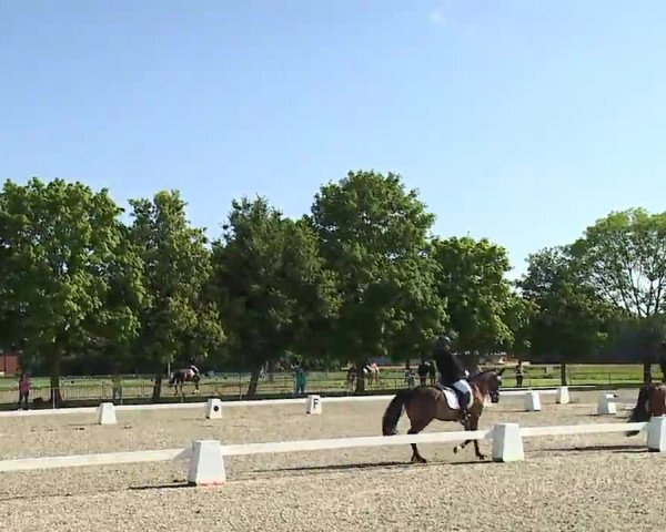 Reitturnier Rot am See- Musdorf 2021