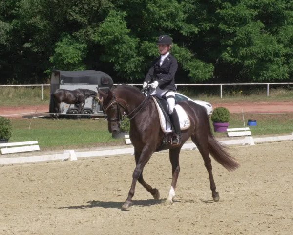 Reitturnier Heiligenwald 2021