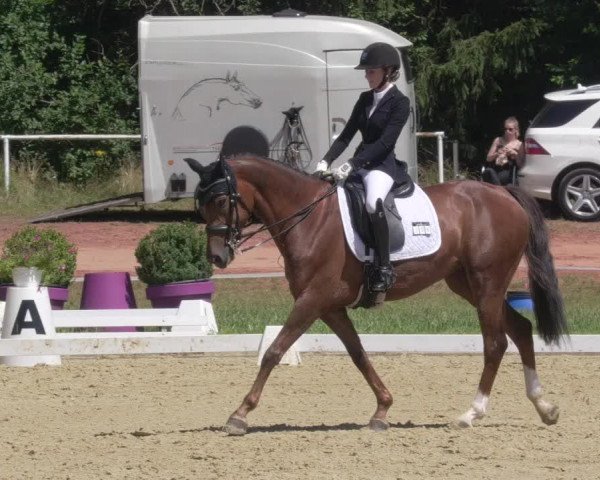 Reitturnier Heiligenwald 2021