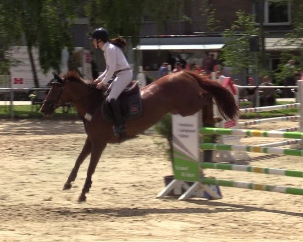 Reitturnier Herbern 2021