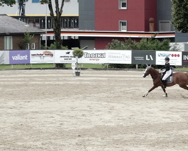 Reitturnier Dagmersellen 2021