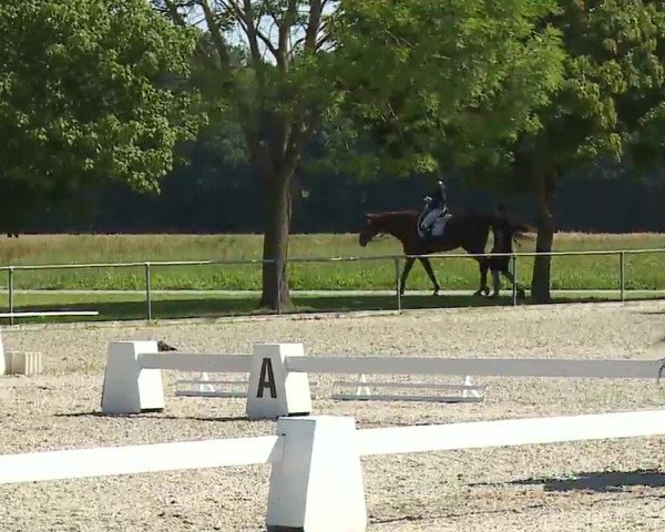 Reitturnier Rot am See- Musdorf 2021