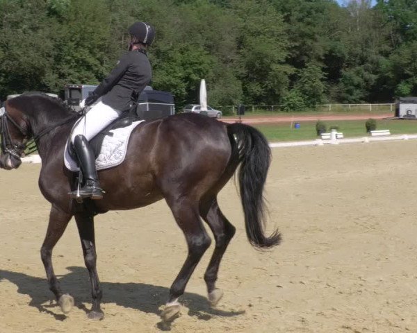 Reitturnier Heiligenwald 2021