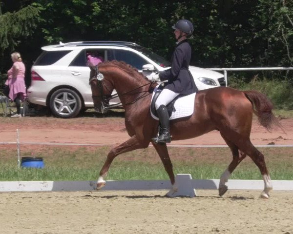Reitturnier Heiligenwald 2021