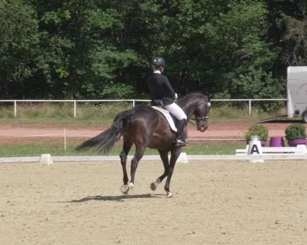 Reitturnier Heiligenwald 2021