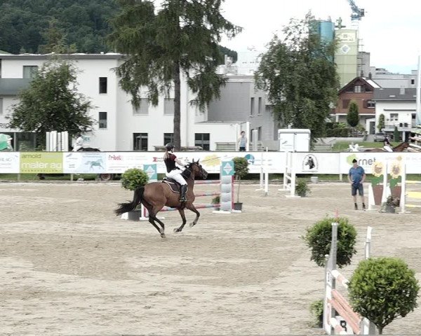 Reitturnier Dagmersellen 2021