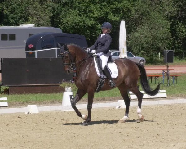 Reitturnier Heiligenwald 2021