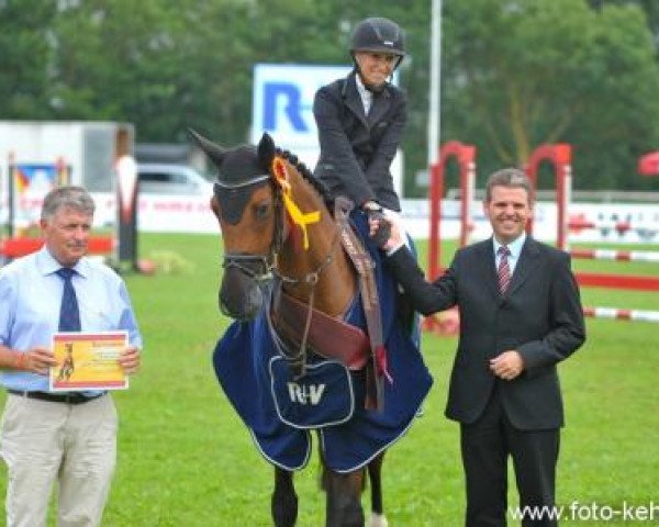 jumper Gerona (Bavarian, 2009, from Question D'Honneur B)