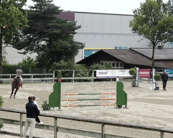 Reitturnier Dagmersellen 2021