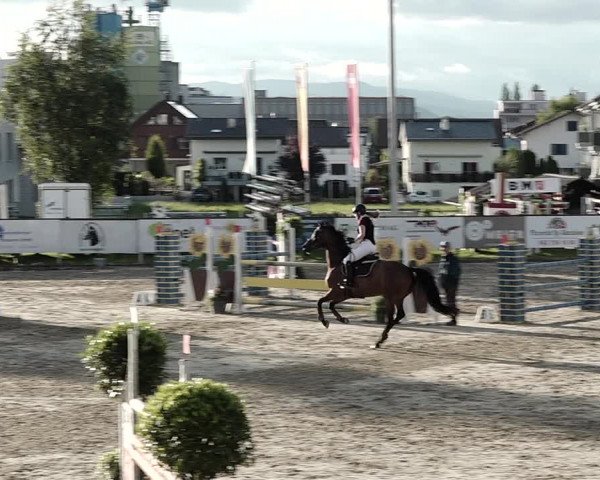 Reitturnier Dagmersellen 2021