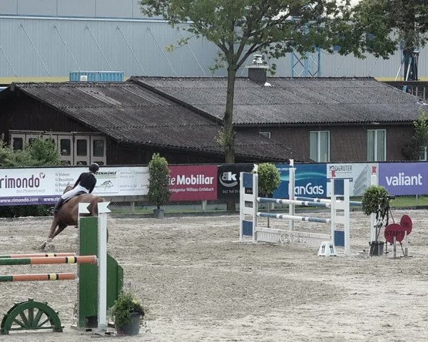 Reitturnier Dagmersellen 2021