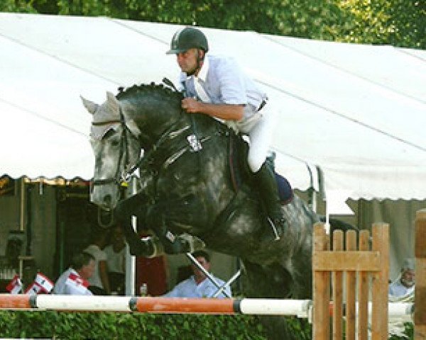 Deckhengst Pessoavelle (Deutsches Sportpferd, 2004, von Pessoa VDL)
