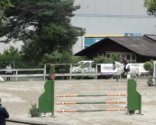 Reitturnier Dagmersellen 2021