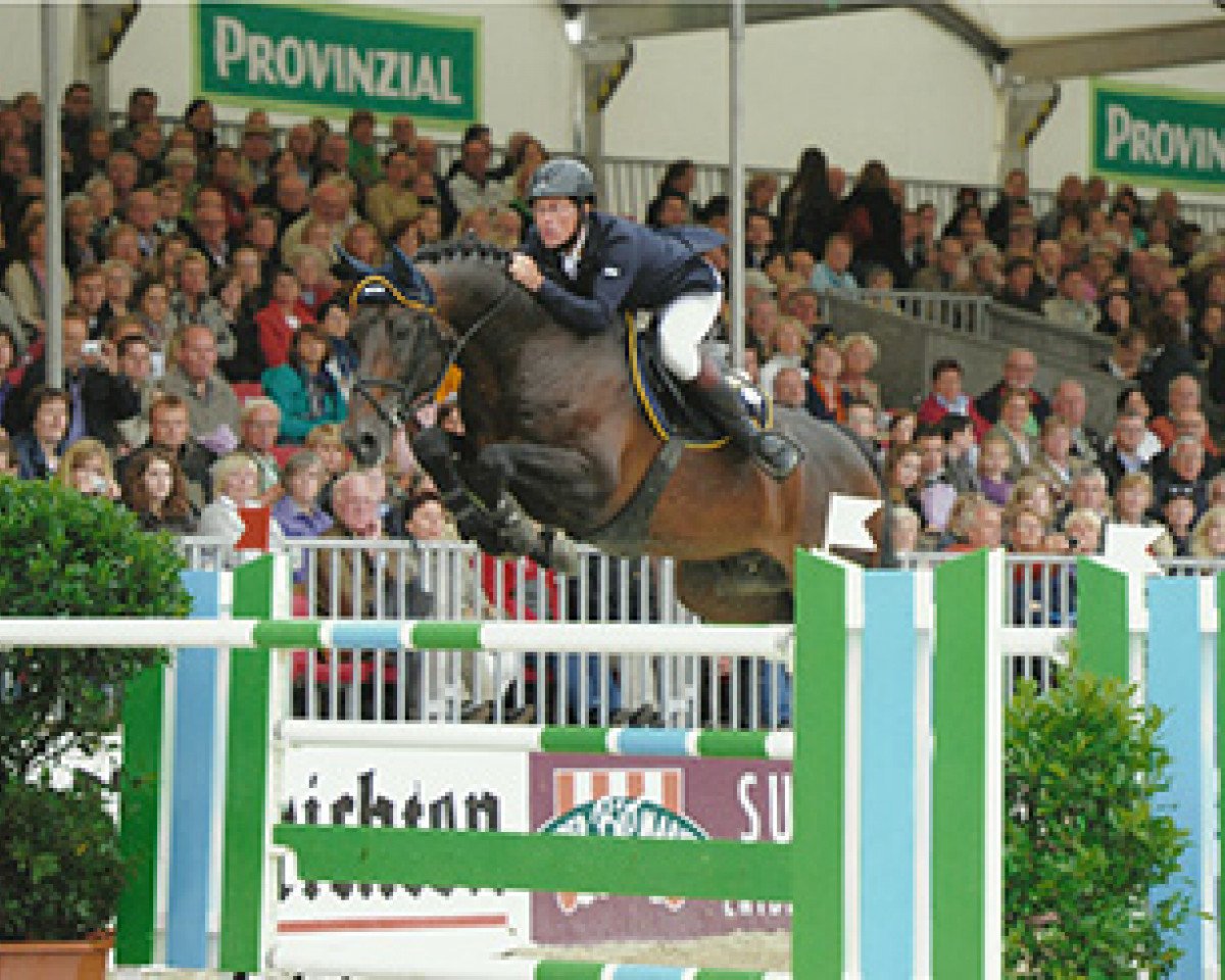 stallion Casario (Holsteiner, 1998, from Caretino)