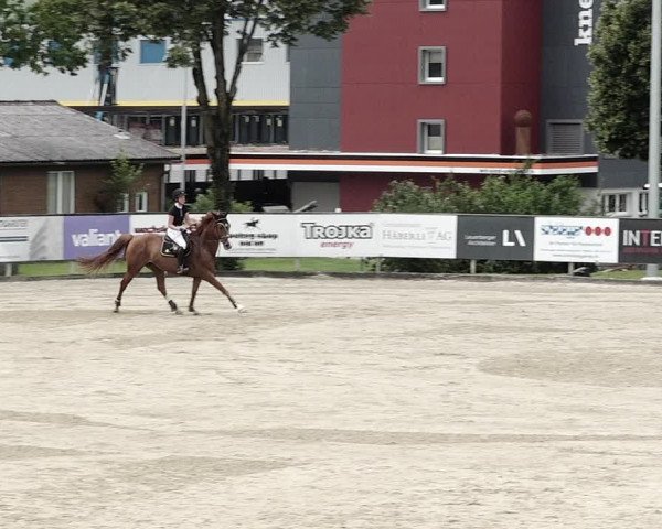 Reitturnier Dagmersellen 2021