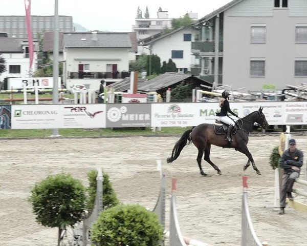 Reitturnier Dagmersellen 2021