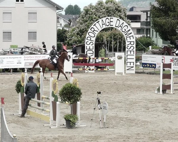 Reitturnier Dagmersellen 2021