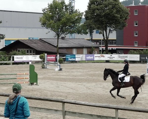 Reitturnier Dagmersellen 2021