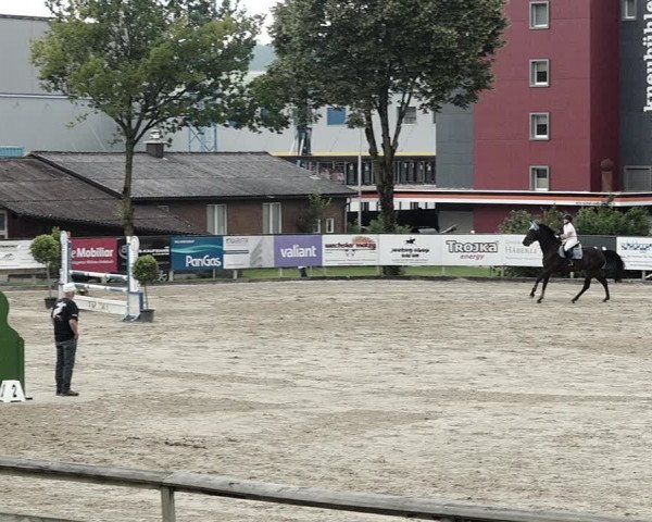 Reitturnier Dagmersellen 2021