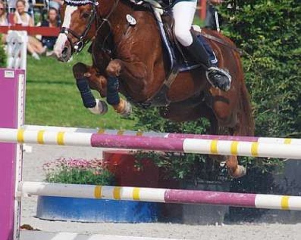 jumper Sonjahof's Iris (Nederlands Welsh Ridepony, 2000, from Leuns Veld's Elegant)