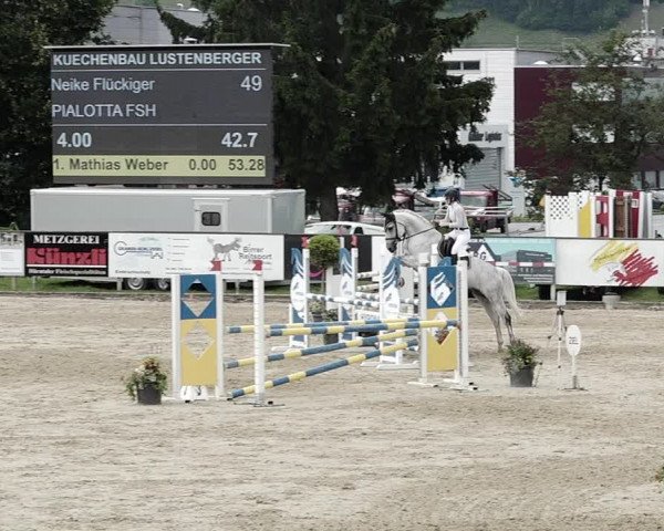Reitturnier Dagmersellen 2021