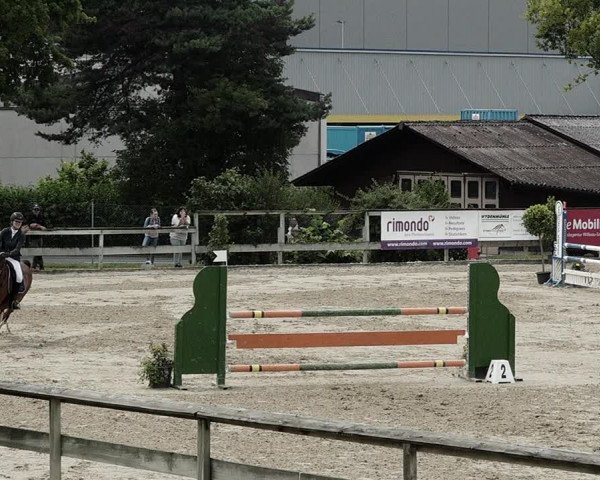 Reitturnier Dagmersellen 2021