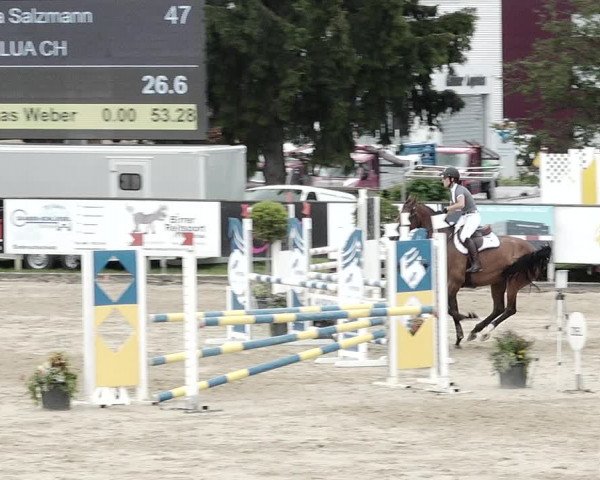 Reitturnier Dagmersellen 2021