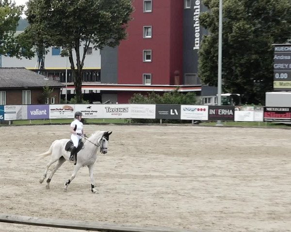 Reitturnier Dagmersellen 2021
