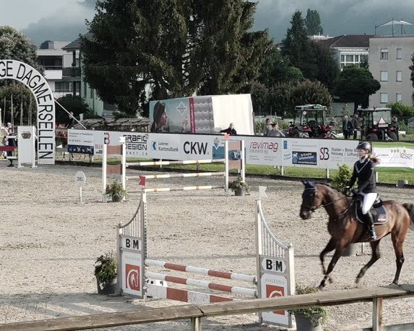 Reitturnier Dagmersellen 2021