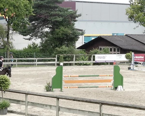 Reitturnier Dagmersellen 2021