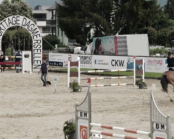 Reitturnier Dagmersellen 2021