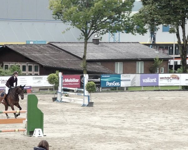 Reitturnier Dagmersellen 2021