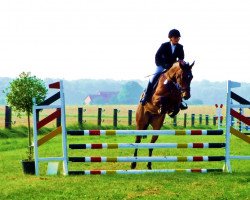 Springpferd El Kantano (Belgisches Warmblut, 2010, von Eldorado van de Zeshoek)