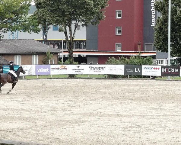 Reitturnier Dagmersellen 2021