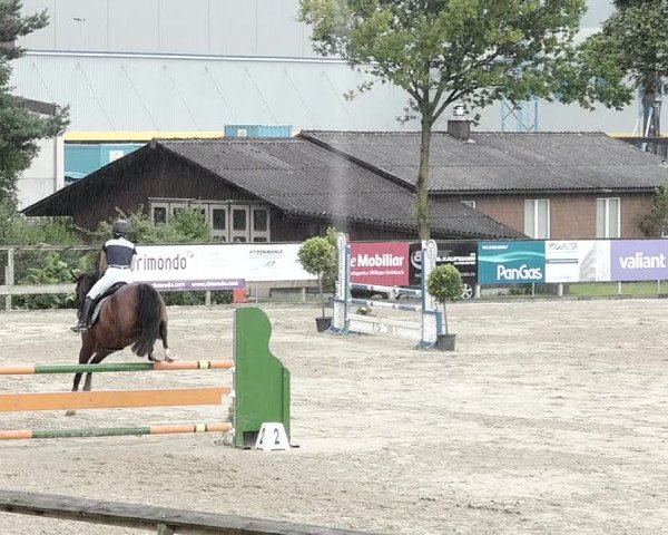 Reitturnier Dagmersellen 2021
