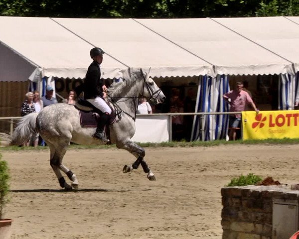 Reitturnier Heiligenwald 2021