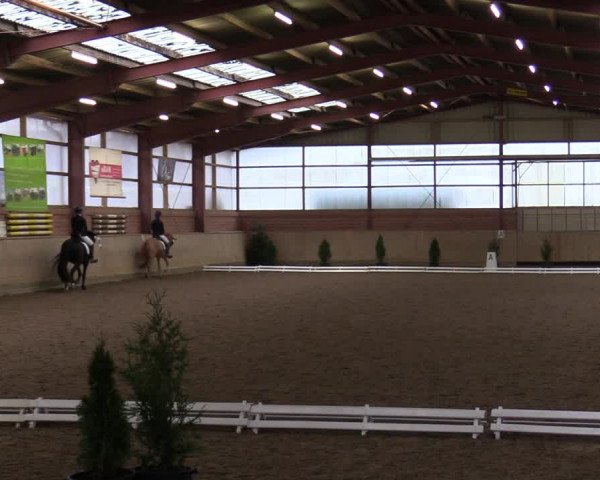 Late Entry Ostenfelde-Vornholz 2022