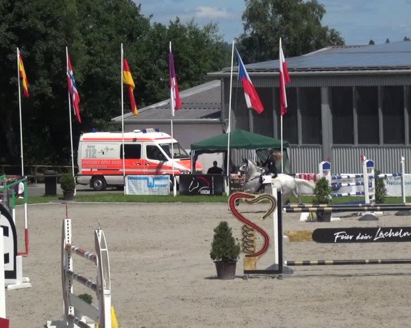 Giebelwald Classics mit Westfälische Meisterschaften Dressur und Springen 2021