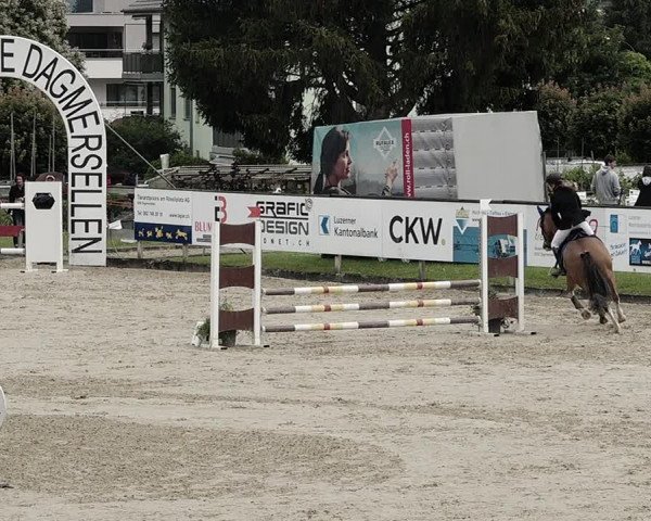 Reitturnier Dagmersellen 2021