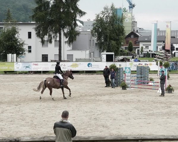 Reitturnier Dagmersellen 2021
