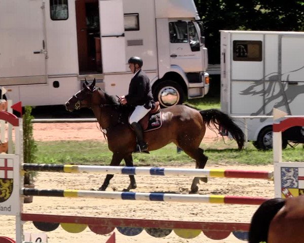Reitturnier Heiligenwald 2021