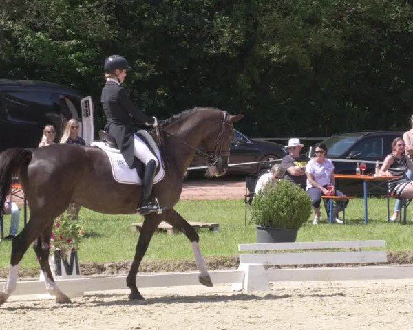 Reitturnier Heiligenwald 2021