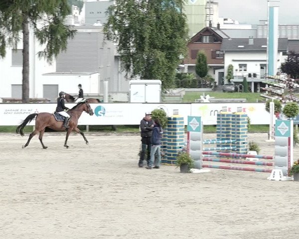 Reitturnier Dagmersellen 2021