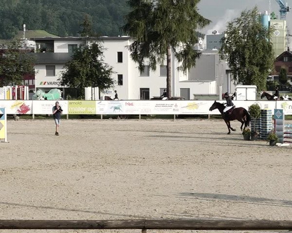 Reitturnier Dagmersellen 2021