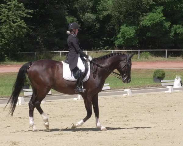 Reitturnier Heiligenwald 2021
