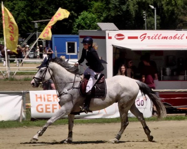 Reitturnier Heiligenwald 2021