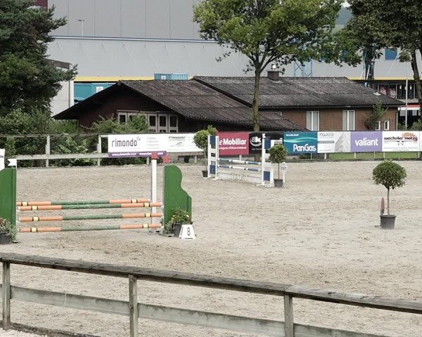 Reitturnier Dagmersellen 2021