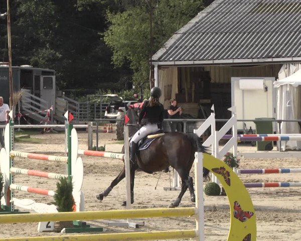 Reitturnier Neunkirchen-City 2021